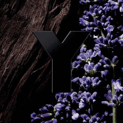 Y LE PARFUM 100 ML